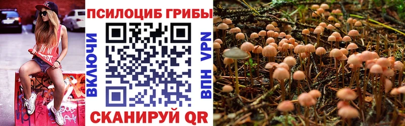 Псилоцибиновые грибы мухоморы Казань